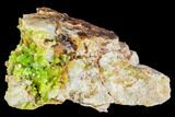Vibrant Green Pyromorphite Crystal Cluster - China #112389-1